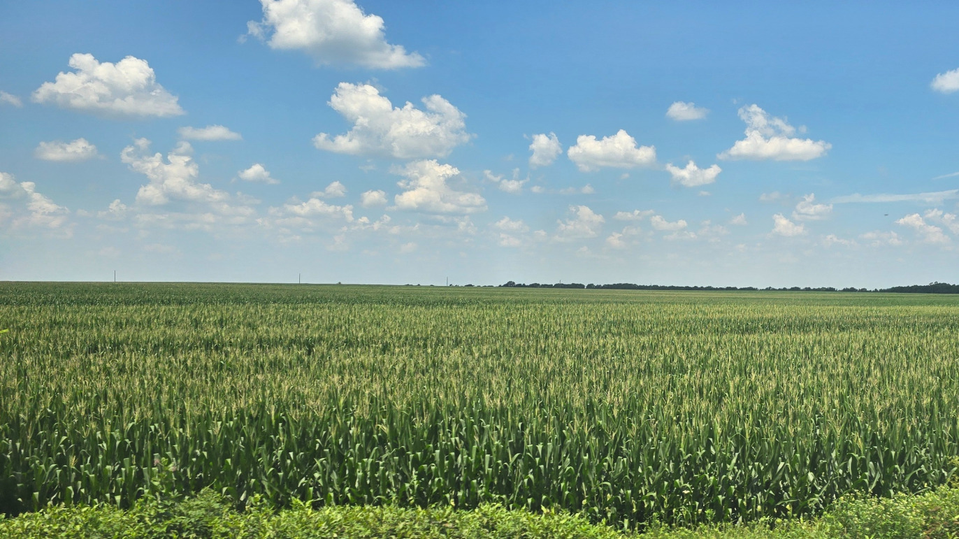 Field in Chicago displaying serenity and peace
